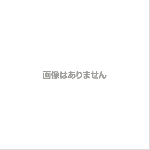 HR-63A用 棚網<!--ホシザキ 激安 最安値 --><br>